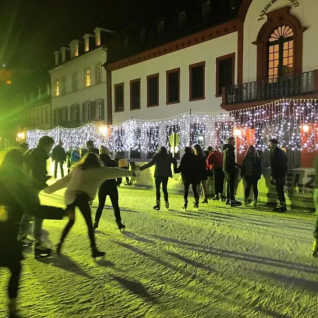 Altstadtapartment Remise * Χαϊδελβέργη